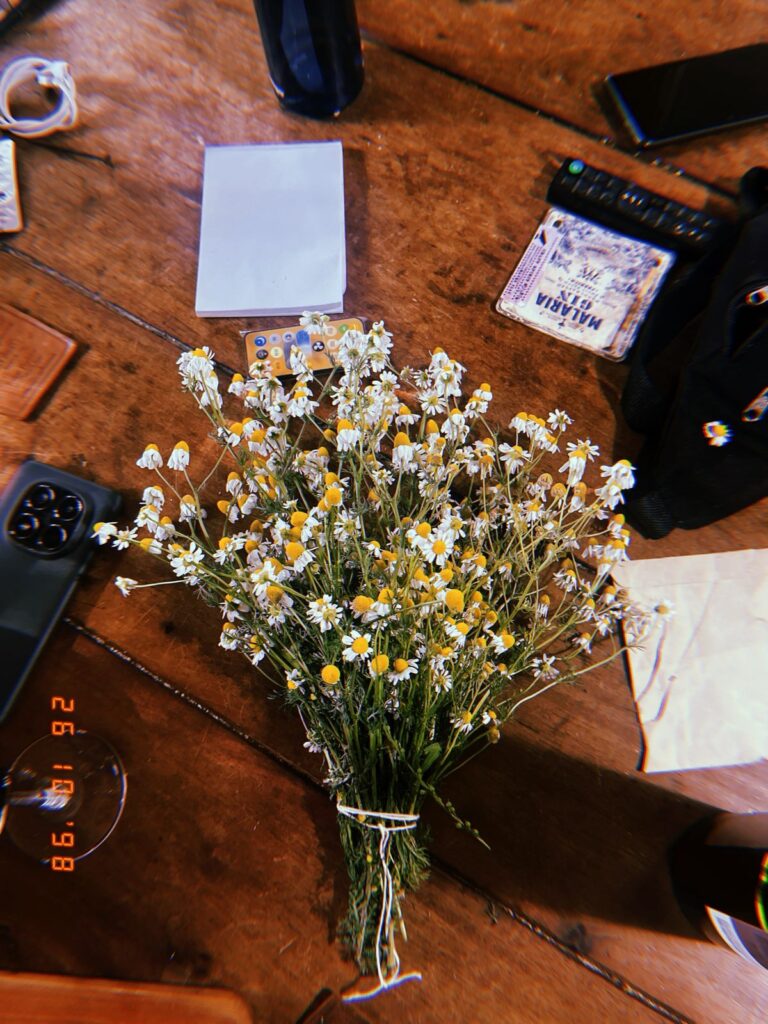 Luna Llena en Tauro 1 luna llena en tauro