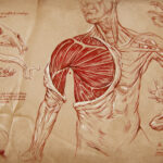 Festival "BUENOS AIRES ROJO SANGRE" (2025) unnamed