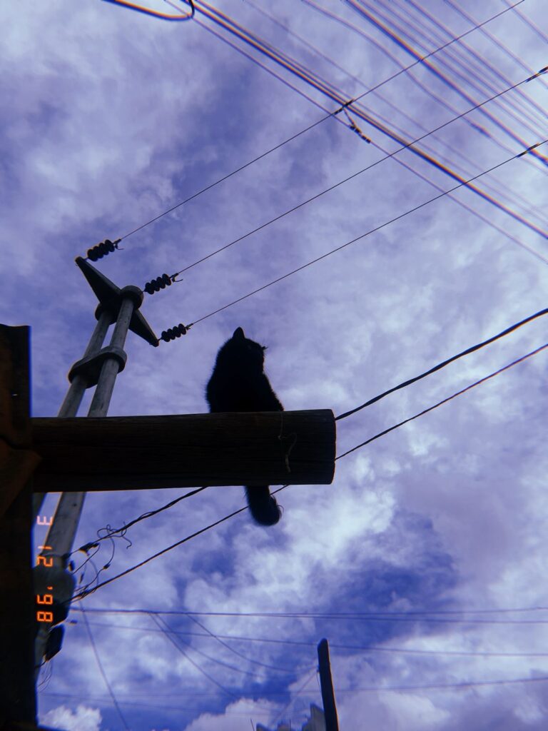 urano neptuno y saturno