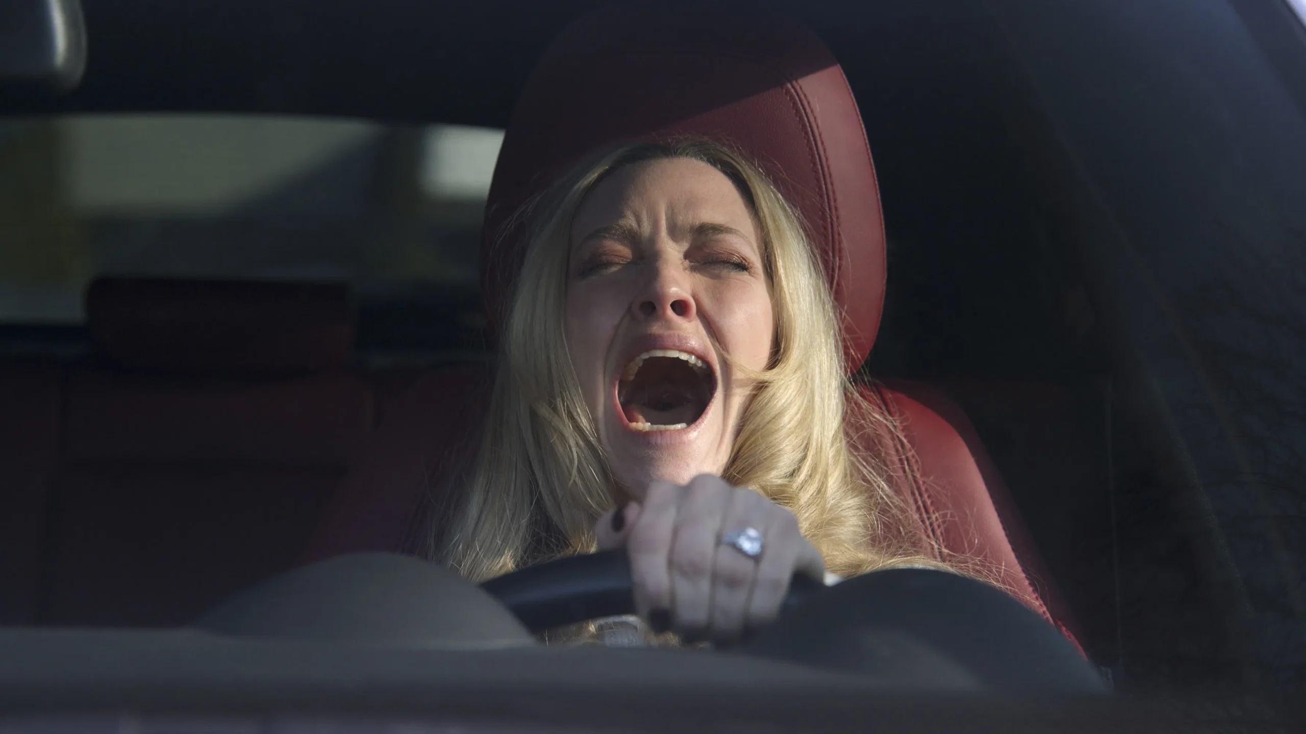 RESEÑA - "LA EMPLEADA" (Dir. Paul Feig) 4 Imagen3